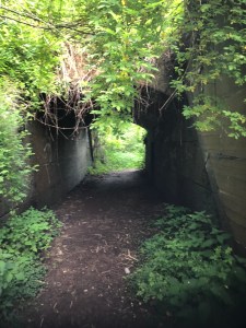 Fort Wadsworth (Staten Island) 06 SI-nyc