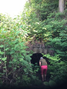 Ft. Wadsworth doors (Staten Island) 12 SI-nyc