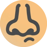 Nose.png