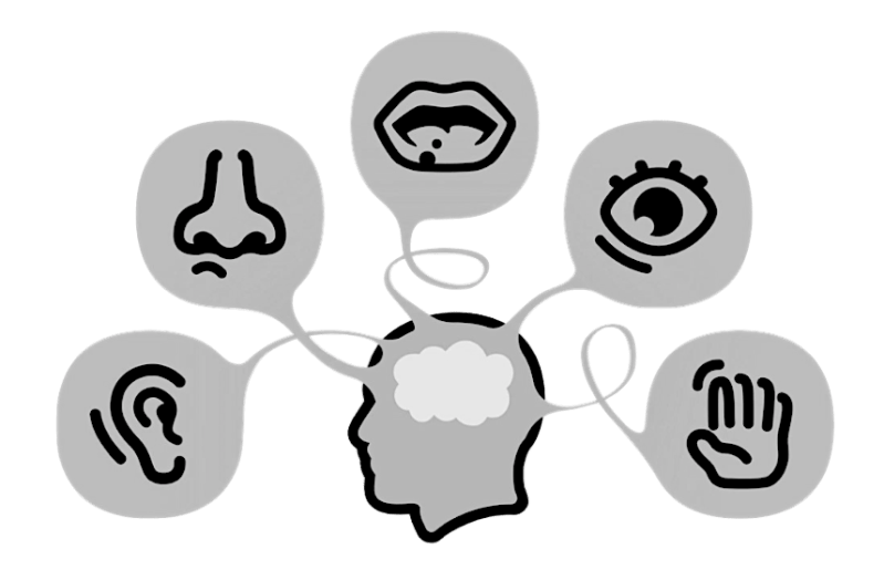 Phenomenology senses